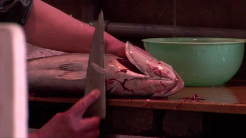 Fresh Fish Stock Footage 139480549