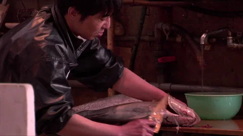 Fresh Fish Stock Footage 139480621