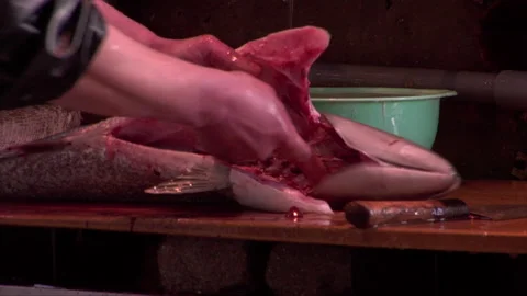 Fresh Fish Stock Footage 139480805