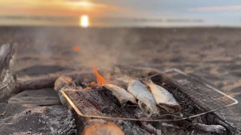 Fresh fish grilling on basic beach barbecue by sea sunset on horizon Stock Footage 217436740