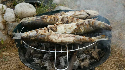 Fresh fish grilling over the glowing coals, fish grilled on bbq Stock Footage 104599502