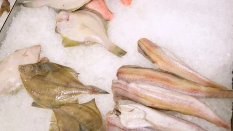 Fresh fish in grocery store 库存影片 82543633