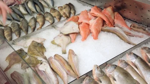 Fresh fish in grocery store 库存影片 82543773
