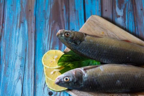 Fresh fish half view Stock Photos