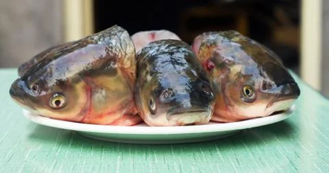 Fresh fish head Stock Photos