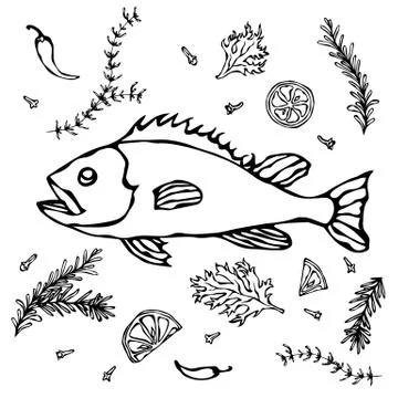 Fresh Fish With Herbs Spices and Lemon. Vector Seafood Realistic Illustration Stock Illustration