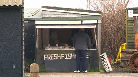 Fresh Fish Hut Stock Footage 23839308