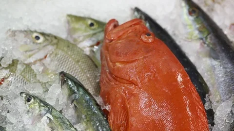 Fresh Fish on Ice 3 Stock Footage 123259320