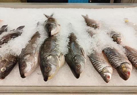 Fresh fish on ice cubes displayed at a market for customers to choose from Stock Photos