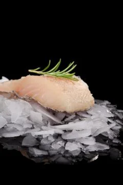Fresh fish on ice. Stock Photos