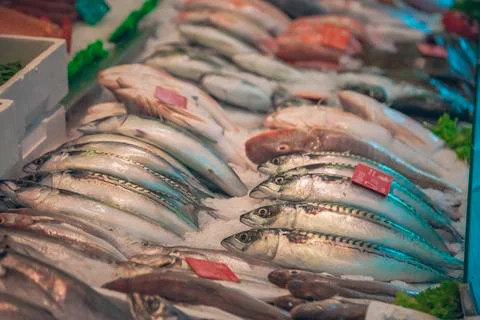 Fresh Fish on Ice Stock Photos