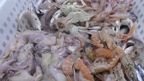 Fresh fish just caught in a box Stock Footage 160598805