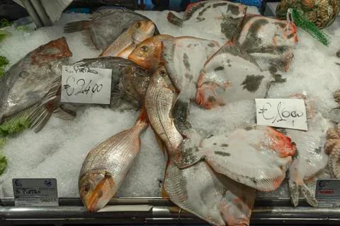 Fresh fish on the left Peter fish Zeus faber on ice fish market of Rialto in Stock Photos