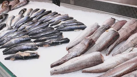 Fresh fish lying on ice on the counter of the grocery store. Stock Footage 221785193