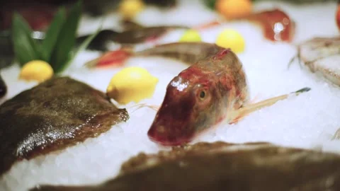Fresh fish lying on the ice Stock Footage 147836054
