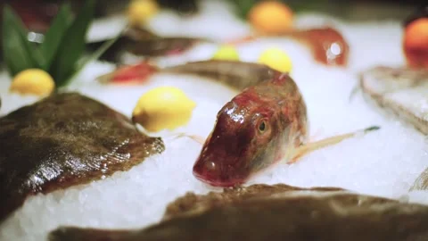 Fresh fish lying on the ice Stock Footage 147836055