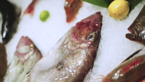 Fresh fish lying on the ice Stock Footage 147836063