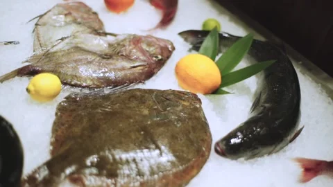 Fresh fish lying on the ice Stock Footage 147836065