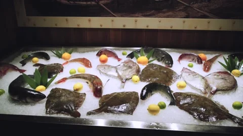 Fresh fish lying on the ice Stock Footage 147836071