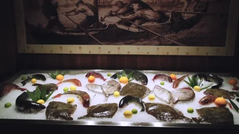 Fresh fish lying on the ice Stock Footage 147836084