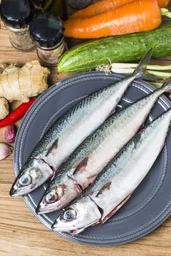 Fresh fish Mackerel Stock Photos
