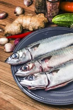 Fresh fish Mackerel Stock Photos
