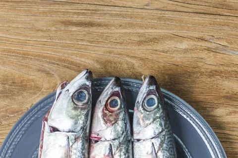 Fresh fish Mackerel Stock Photos