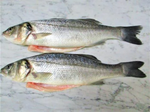 Fresh fish on a marble Stock Photos