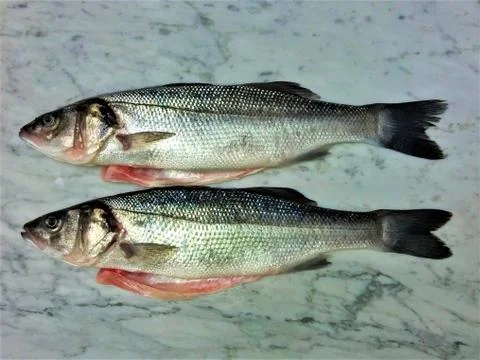 Fresh fish on a marble Stock-Fotos