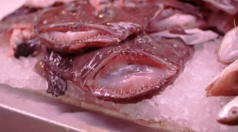 Fresh Fish Market Stock Footage 8857603