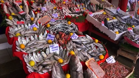 Fresh fish in the market Stock Footage 70944071