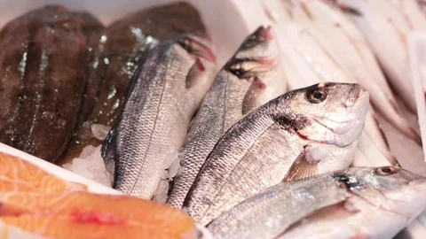 Fresh fish market Stock Footage 75452072
