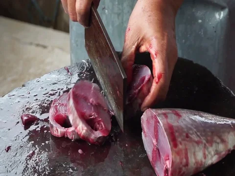 Fresh fish on market Stock Footage 124106978