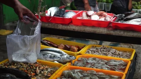 Fresh fish in a market Stock Footage 267716741