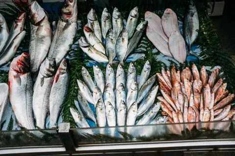 Fresh fish at the market in Istanbul Stock Photos