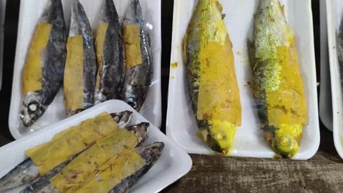 Fresh fish packaged in styrofoam trays on display Stock Footage 346659570