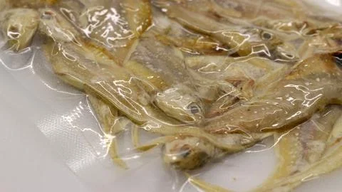 Fresh fish in packaging Stock Photos