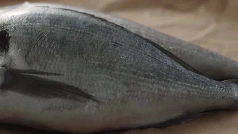 Fresh Fish on a paper-covered surface. Stock Footage 259178131