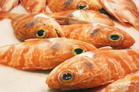 Fresh fish Stock Photos