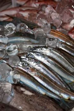 Fresh fish Foto stock