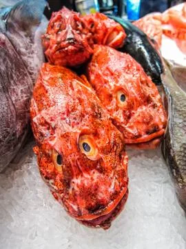 Fresh fish Stock Photos