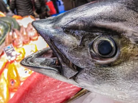 Fresh fish Stock Photos