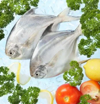 Fresh fish Stock Photos
