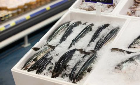 Fresh fish Stock Photos
