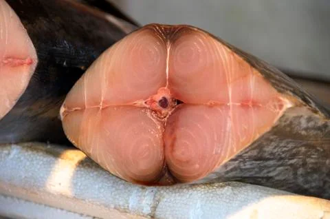 Fresh fish Stock Photos