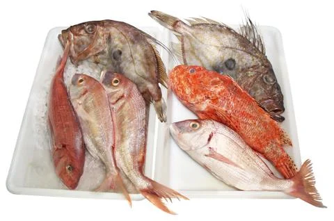 Fresh fish Stock Photos