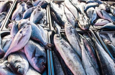 Fresh fish Stock Photos