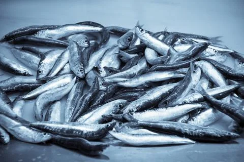Fresh fish Stock Photos