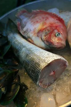 Fresh fish Stock Photos