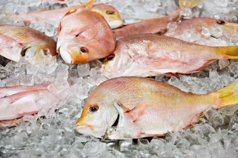 Fresh fish Foto stock